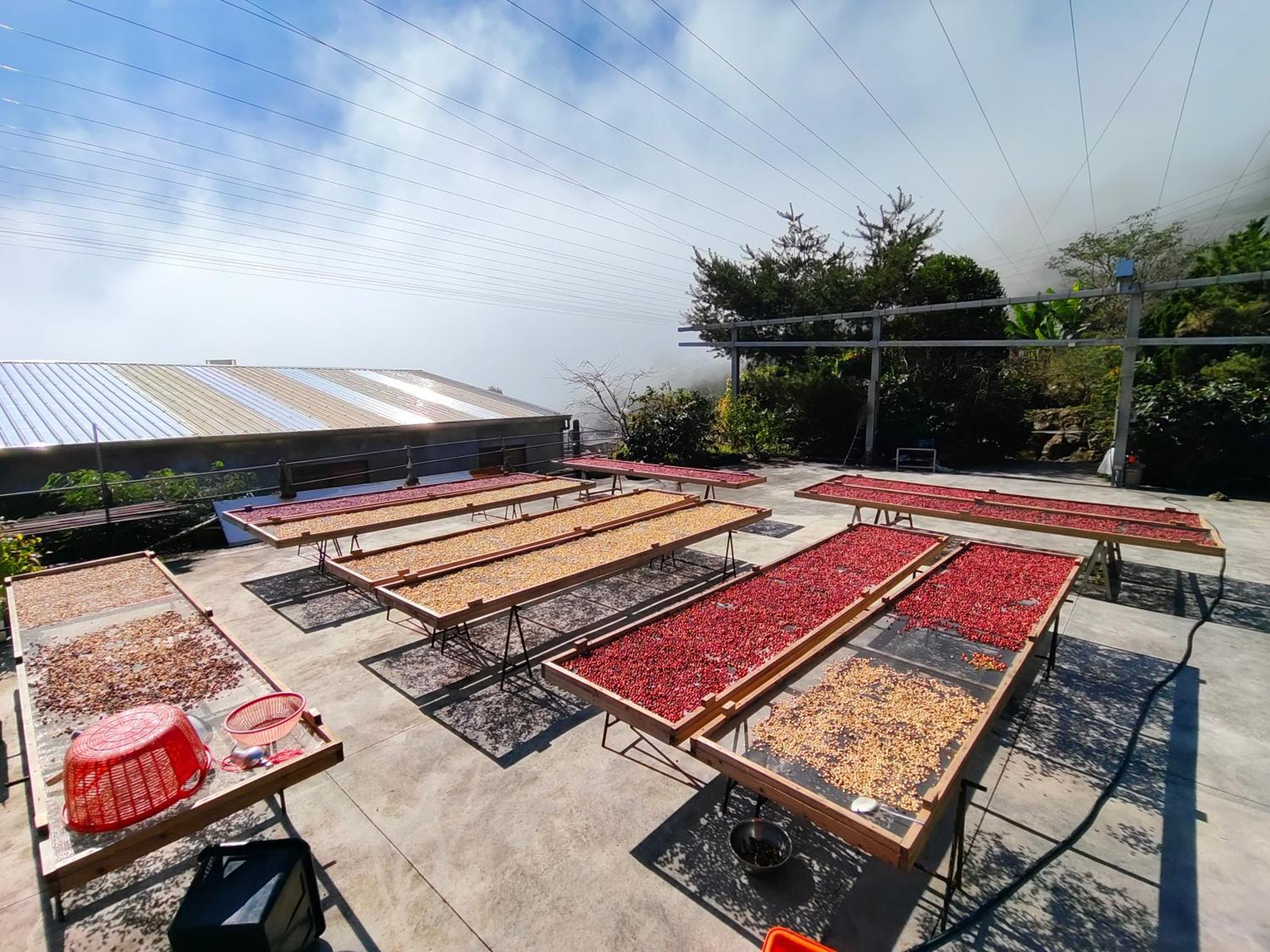Slow House Fanlu Exterior foto
